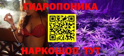 прущие крисы Лесосибирск