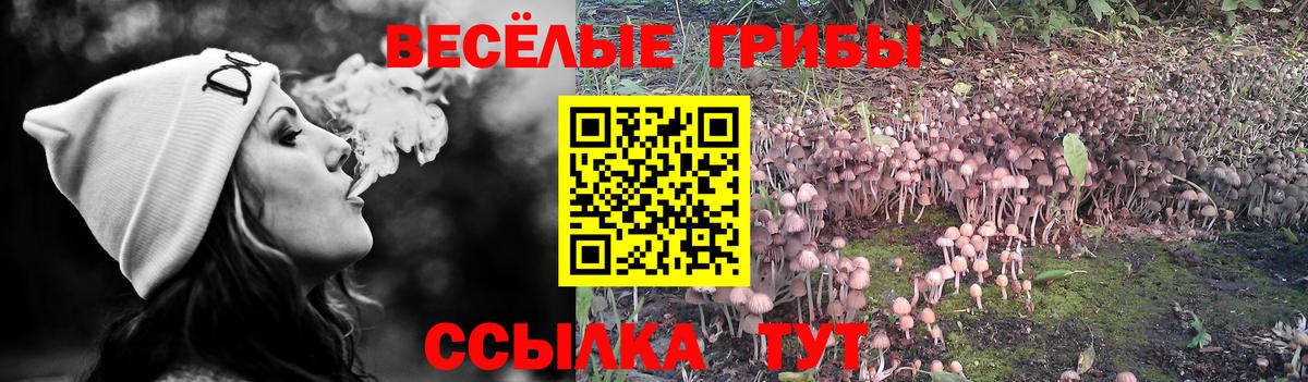 Галлюциногенные грибы GOLDEN TEACHER Дзержинск