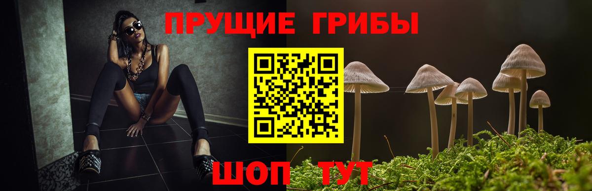 Дзержинск  Псилоцибиновые грибы ЛСД  Вход с VPN  Псилоцибиновые грибы мухоморы 